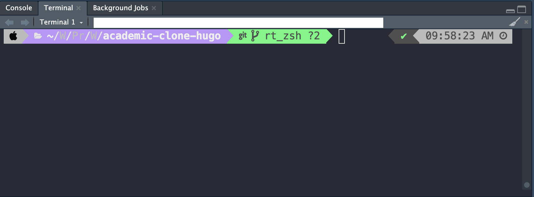 terminal_rstudio_final