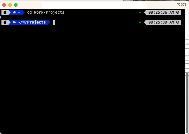 terminal_with_ohmyzsh_powerlevel10k
