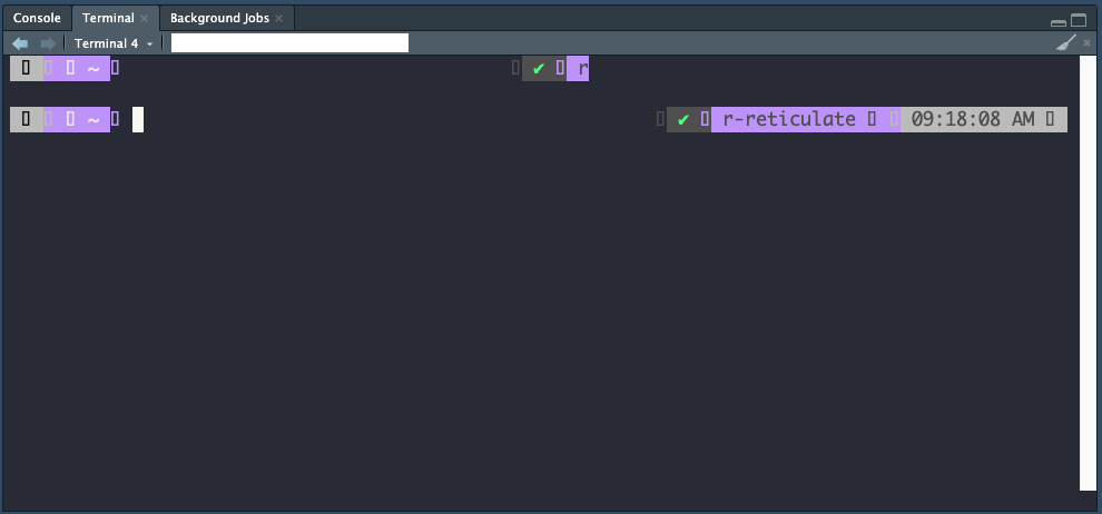 terminal_rstudio_initial